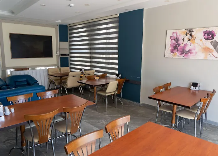 Eroglu 酒店 费特希耶